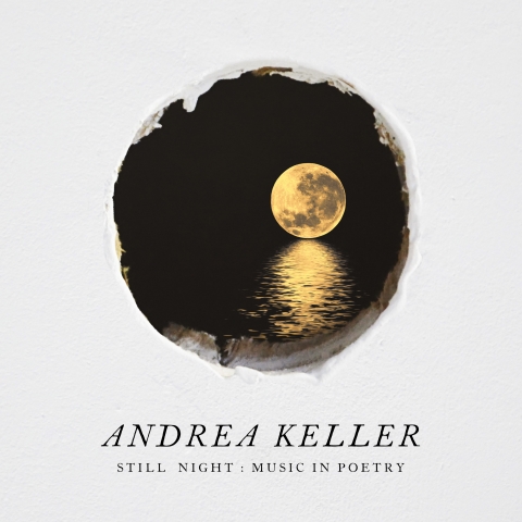 1 - Cover-Still Night